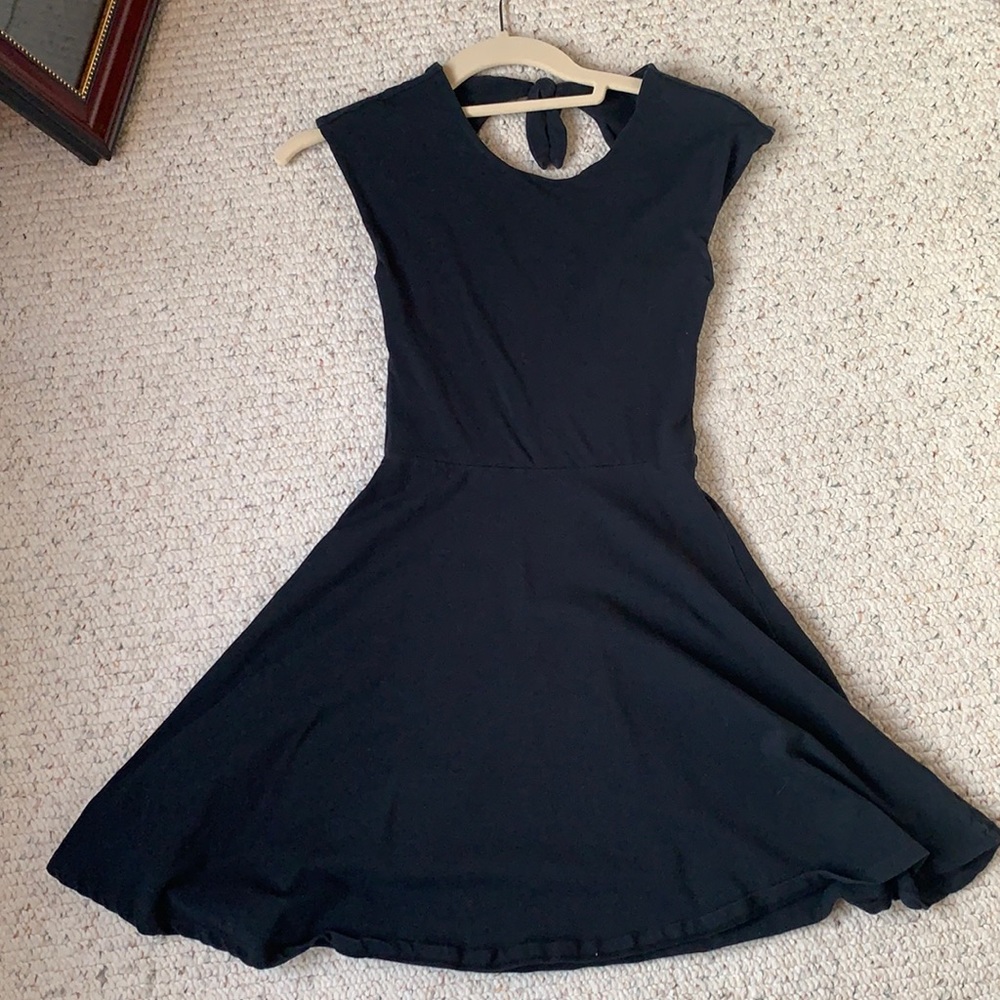 Aritzia skater dress
